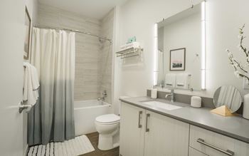 a bathroom with a shower toilet and sink and a mirror